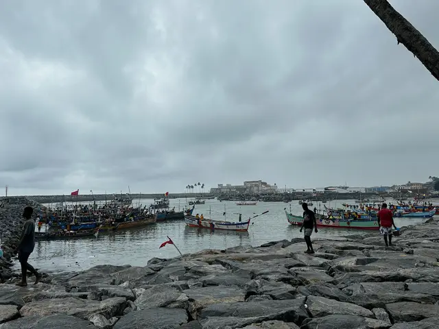 Elmina