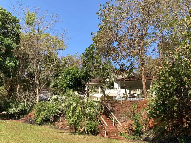 VELHA