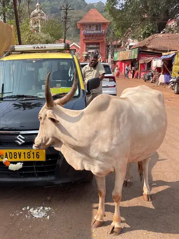Goa 2025