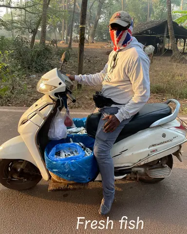 Goa 2025
