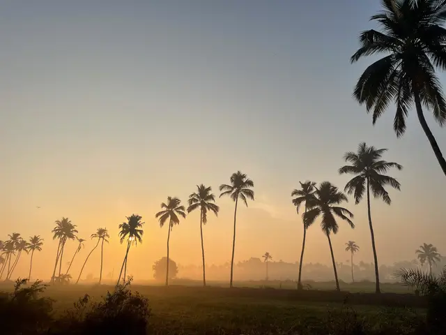 Goa 2025