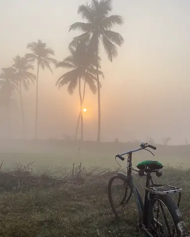 Goa 2025