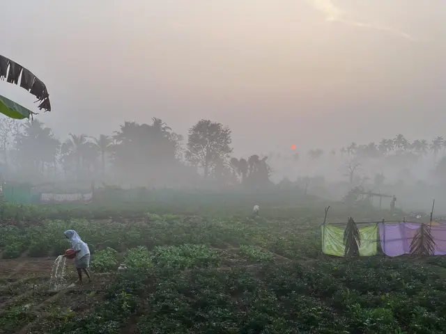 Goa 2025