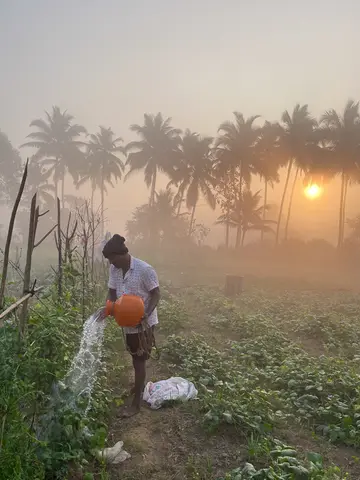 Goa 2025
