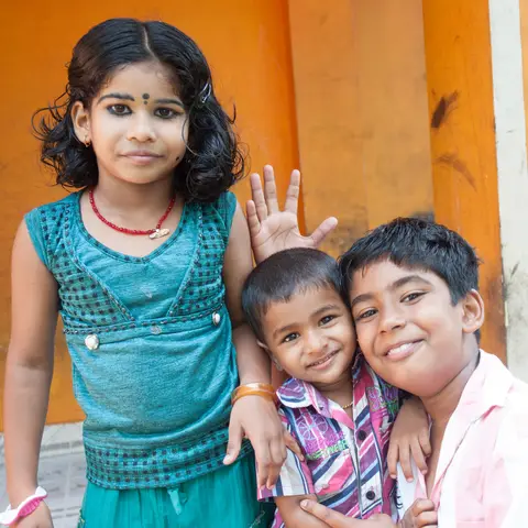India 2013