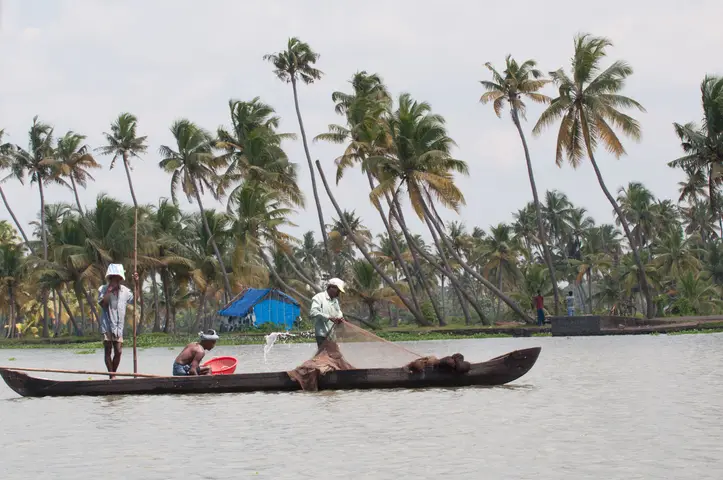 India 2013