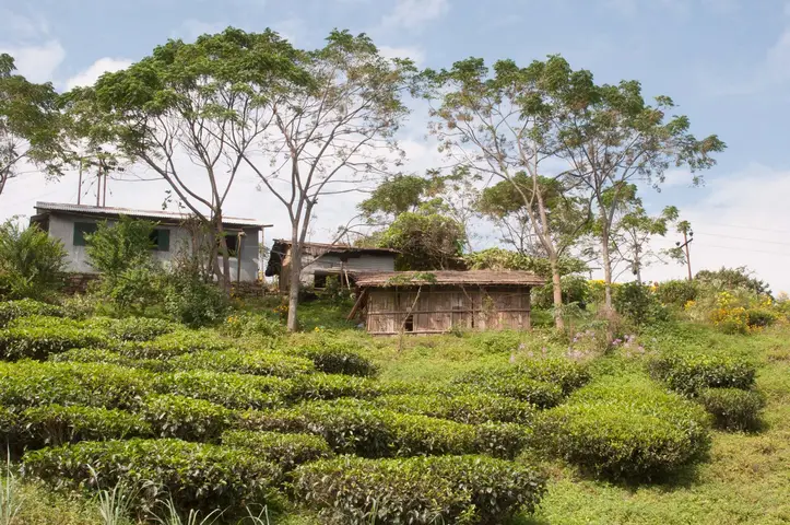 India 2013