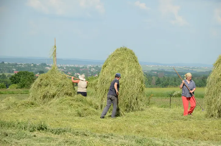 Romania 2019