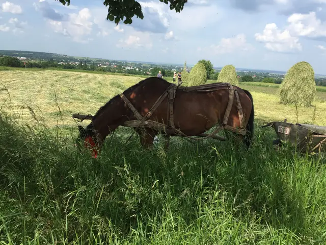 Romania 2019