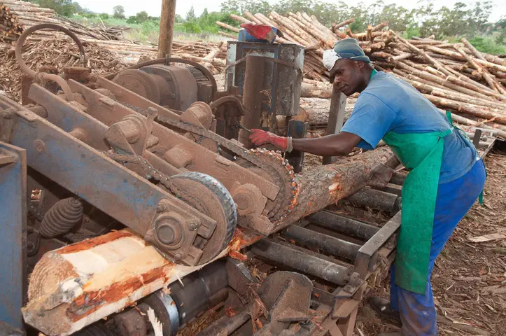 Costa Munikwa. Sawmill, Maynier St, Swellendam 2019