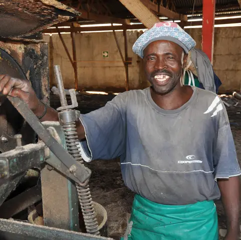 John Mona. Sawmill, Maynier St, Swellendam 2019