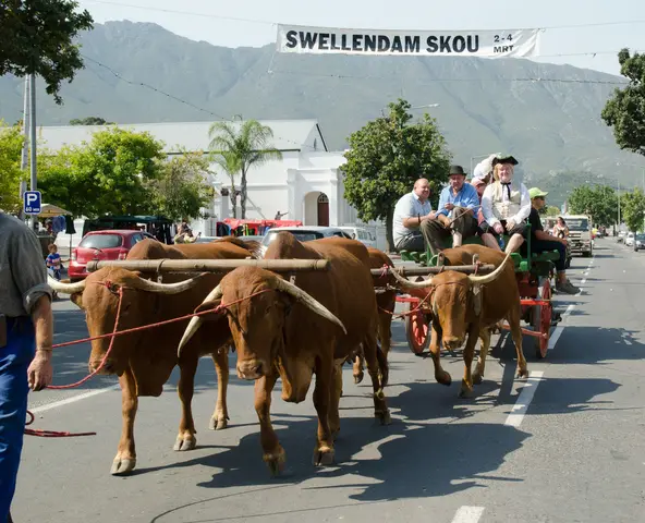 Swellendam 2017