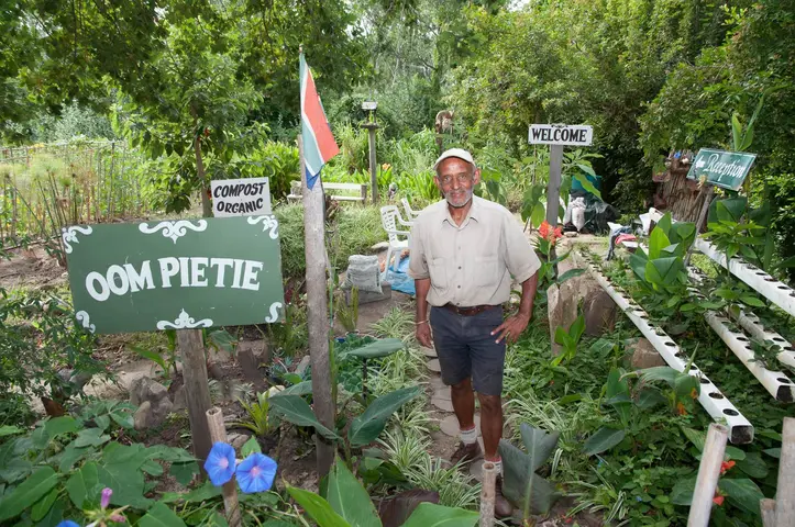 Oom Pietie's organic nursery, Trichardt St, Swellendam 2018