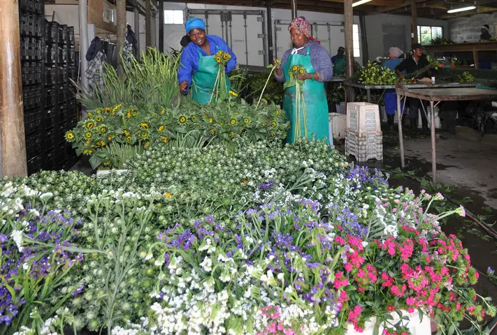 Rebecca & Zandile at Floral Jubilee, Swellendam 2018