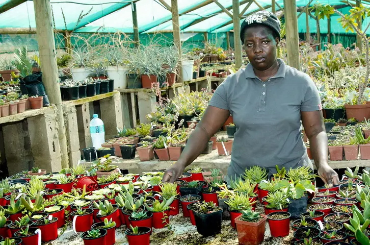 Miriam MaiNoku, Rooiklip Nursery, Swellendam 2019