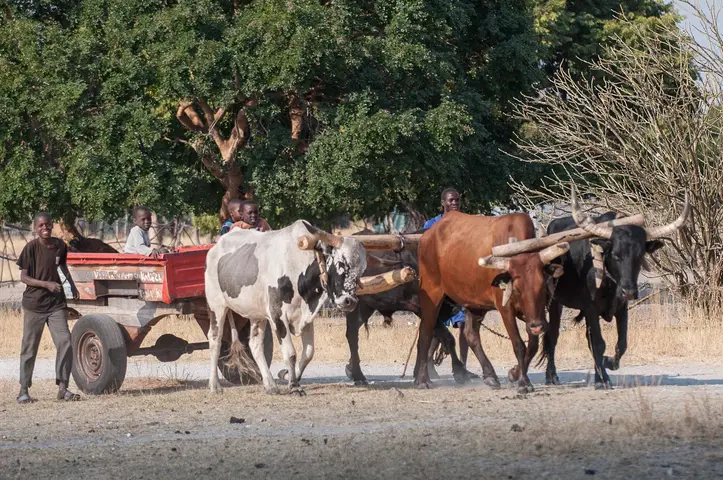 Rundu, Namibia 2016