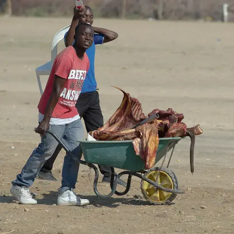 Beef is the Answer. What was the Question? Divindu, Namibia 2016