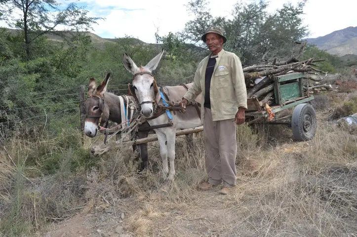 Western Cape 2012