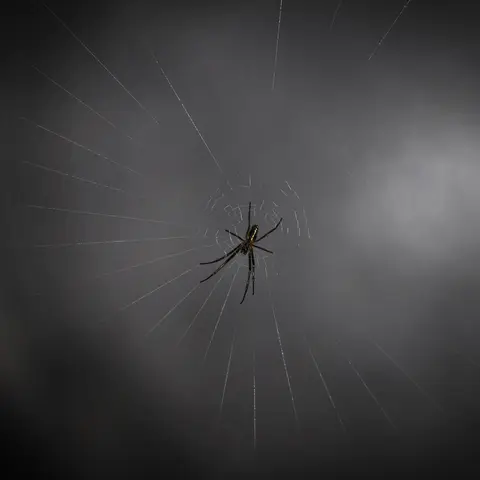 Garden Safari, Wildlife