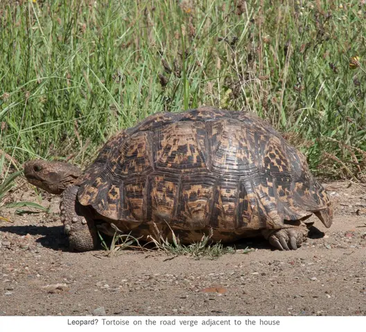 Garden Safari, Wildlife